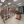 Classrooms