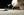 BEE_LUTHER_HATCHEE_hand_image_e.jpg