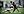 flag-football 02 IMG 5209