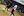 new-student-ignite-blessing_08.jpg