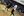 new-student-ignite-blessing_08.jpg