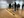 seeing_the_elephant_06.jpg