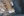 wmnh55 11 IMG 0318