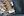 wmnh55 11 IMG 0318
