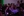 TEDx2019_02_audience.jpg