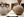 archaeology-weekend-event-01.jpg