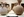 archaeology-weekend-event-01.jpg