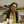 University Studies professor Susan Patt enjoys a luncheon with members of a class that studied family histories. The course ran two quarters.