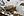 wmnh55 27 IMG 0400