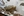 wmnh55 27 IMG 0400