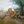space-colony-project-02.jpg