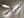 seeing_the_elephant_05.jpg