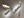seeing_the_elephant_05.jpg