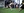 flag-football 04 IMG 5213