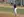 Strategic communication major Jacob Ochoa playing first base for the La Sierra University Golden Eagles baseball team.