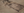 archaeology-centers-14th_04_3D_screengrab2.png