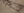 archaeology-centers-14th_04_3D_screengrab2.png