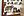 wmnh55 34 IMG 0417