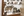 wmnh55 34 IMG 0417