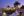 La_Sierra-PSJ_Riordan_ZSB_celebration_ZSB_night_shot.jpg