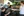 wmnh55 21 IMG 0363