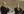 Donald Green, L.A. Philharmonic principal trumpet, at right.