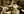 orchestras-january-concert-01.jpg