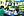 wmnh55 01 IMG 0271